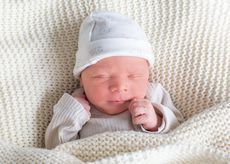 Theo Anton Tarrey