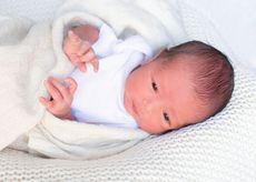 Noah Jacob Kowalewski