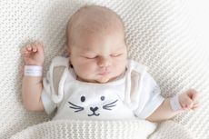 Zoey Kate Nehring