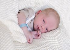 Noah Maxim Steinke