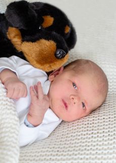 Babyfoto Felix Altmann